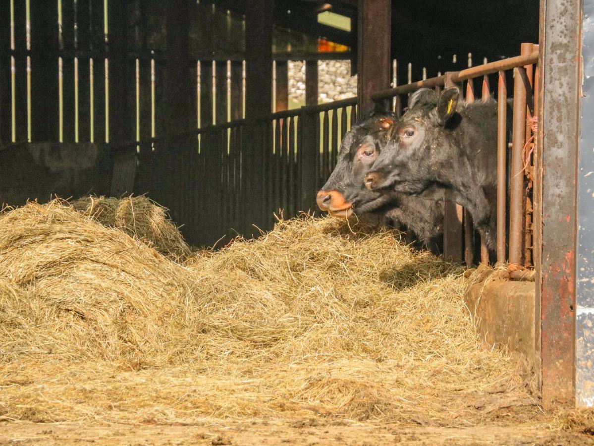 Stable Cottage เคิร์กบีสตีเฟน ภายนอก รูปภาพ