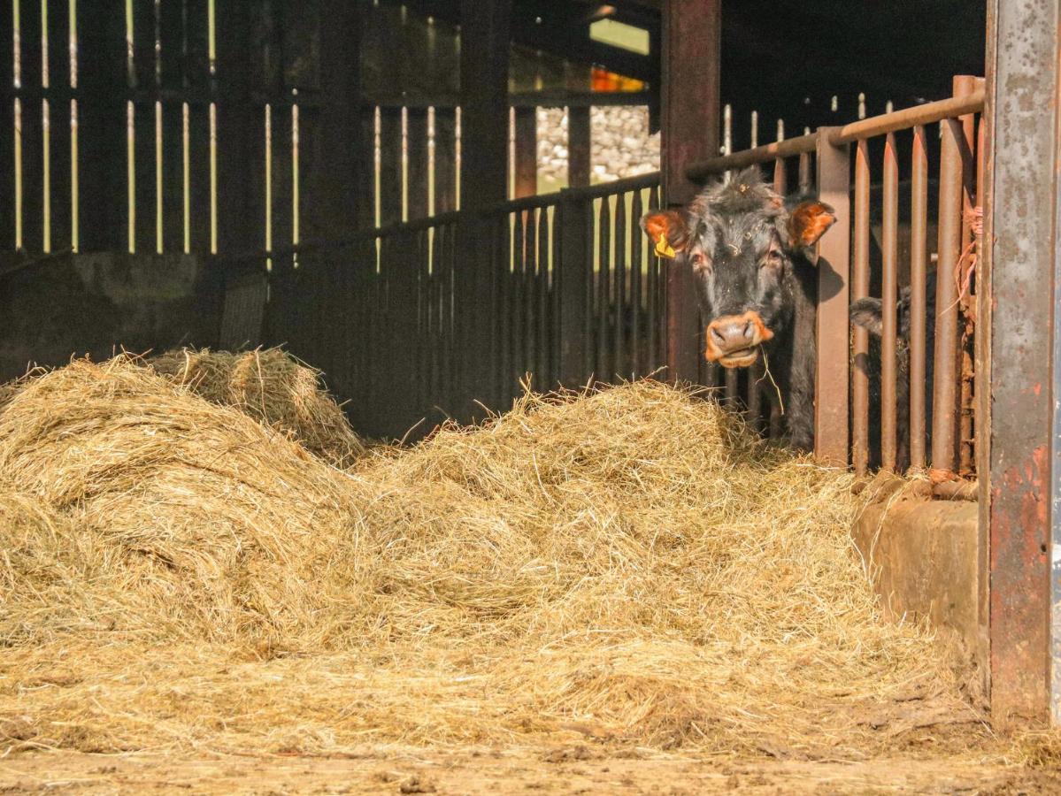 Stable Cottage เคิร์กบีสตีเฟน ภายนอก รูปภาพ